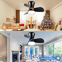 SUNMORY Ceiling Fans with Lights and Remote, 22