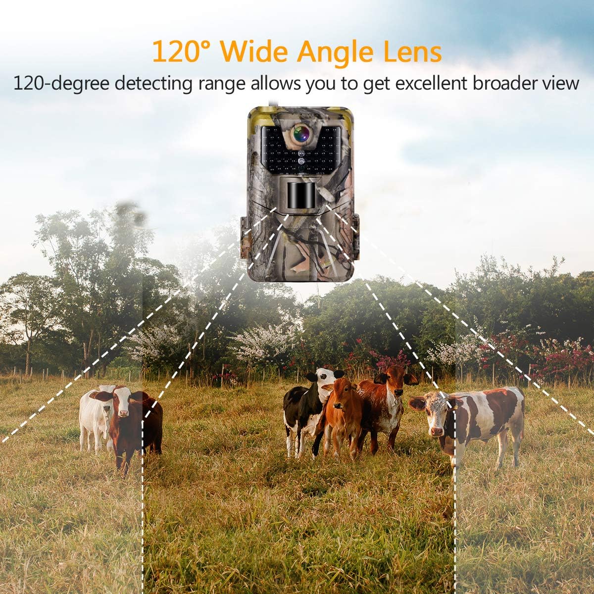 Suntekcam Trail Camera 24MP 1080P Game Camera Motion Activated Night Infrared Vision IP66 Waterproof Outdoor Scouting Wildlife Hunting Camera: Electronics