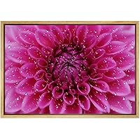 SIGNWIN Framed Canvas Print Wall Art Bright Magenta Flower Petal Close Up Geometric Line Illustrations Modern Art Mid-Century Colorful Warm for Living Room, Bedroom, Office - 16