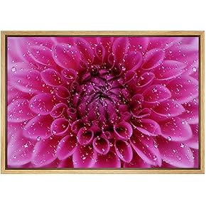 SIGNWIN Framed Canvas Print Wall Art Bright Magenta...