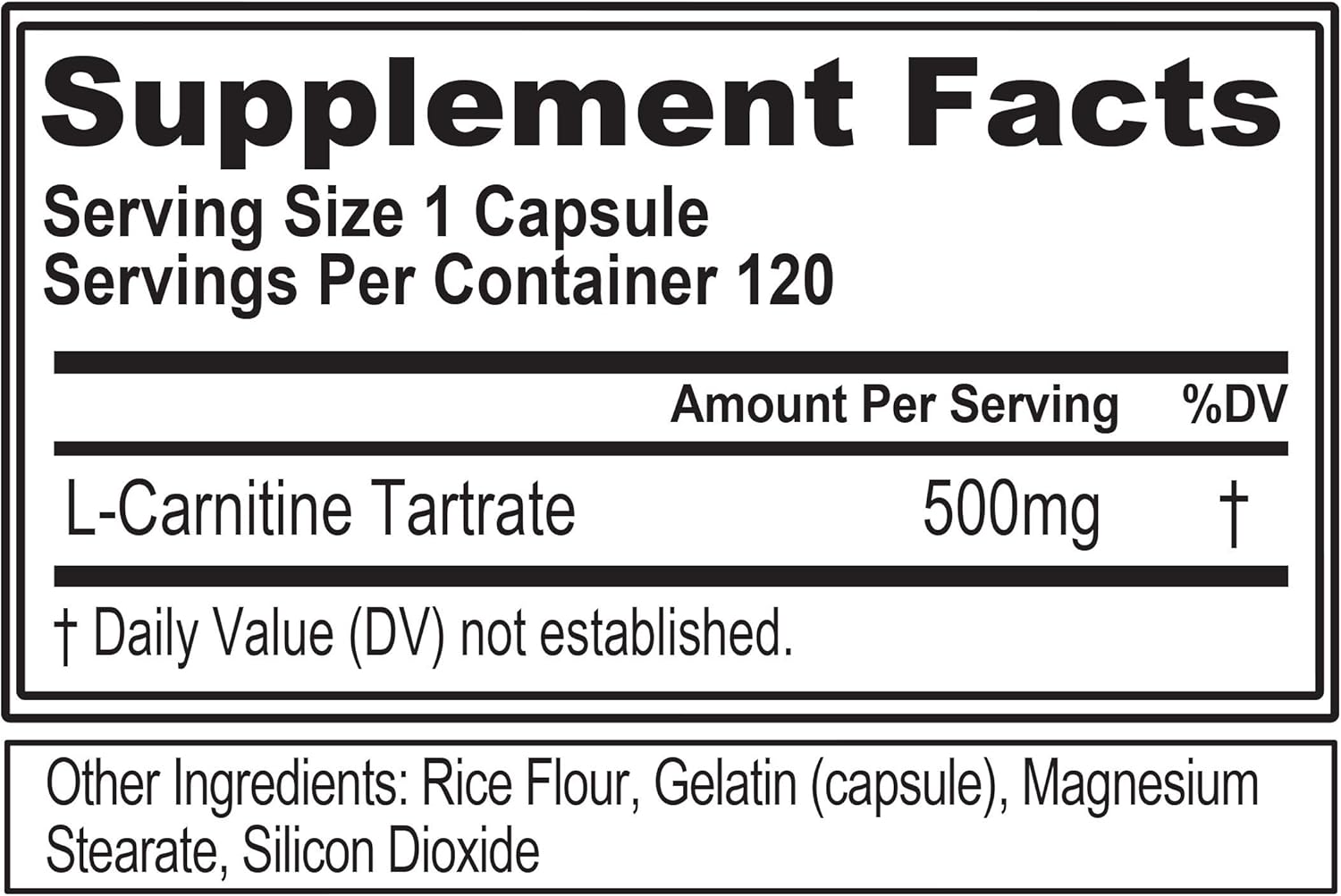 Evlution Nutrition L-Carnitine500, 500 mg of Pure L Carnitine in Each Serving, Stimulant-Free, Capsules (120 Servings): Health & Personal Care