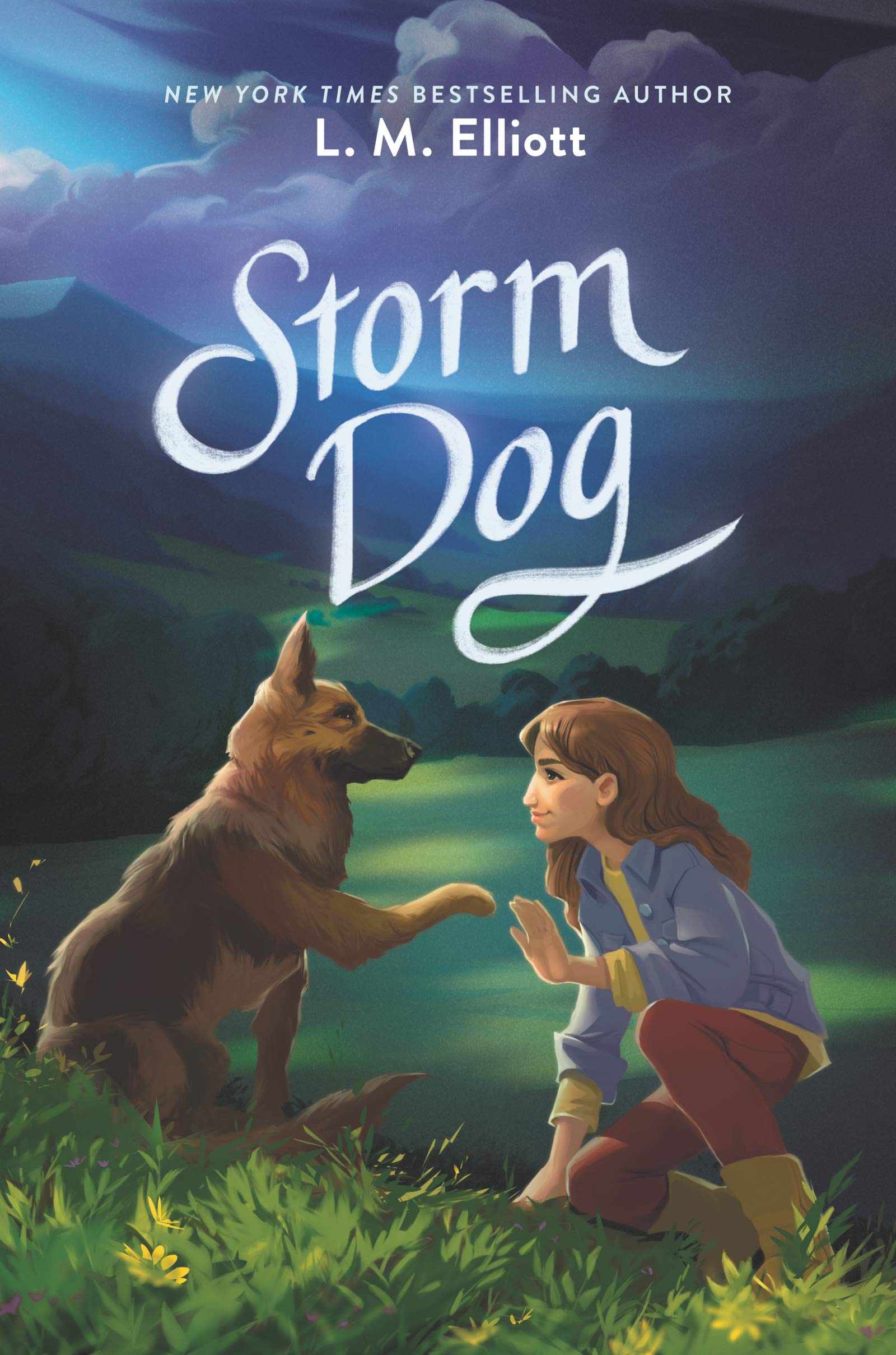 dog storm
