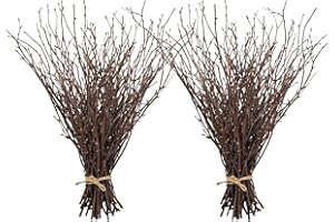 Uieke 100PCS Natural Dried Birch Twigs - 17 Inch Dried Plants Decorative Branches for DIY Crafts, Sticks for Vases Wedding Arrangements Home Wreath Decor
