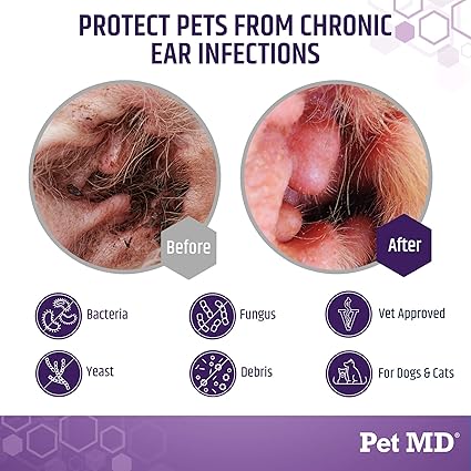 dog ear yeast infection treatment