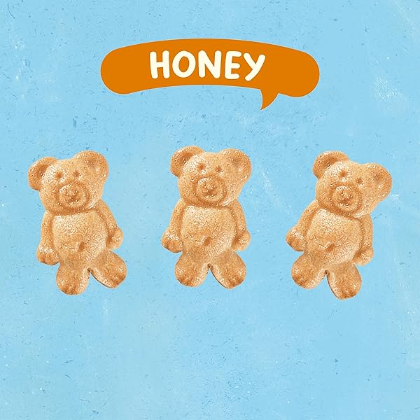 TEDDY GRAHAMS HONEY GRAHAM SNACKS, 10 KIDS SNACK PACKS