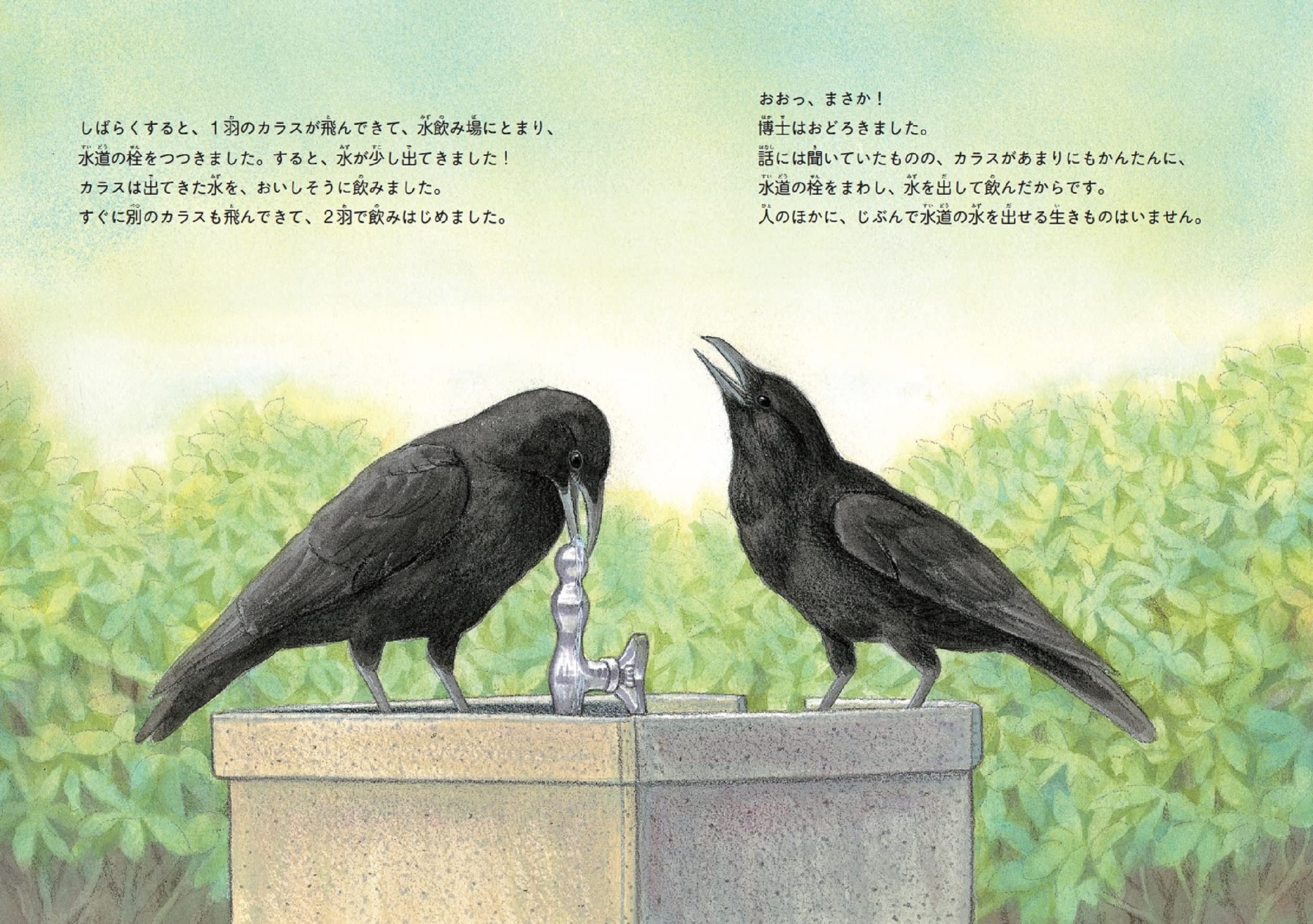 鳥博士と天才カラス 樋口 広芳 おおたぐろ まり 本 通販 Amazon