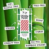 The Cheeky Panda Bamboo Paper Straws | 250 Coloured Straws Red Stripes view 6