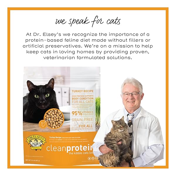 DR. ELSEY’S CLEANPROTEIN TURKEY CAT KIBBLE 2 LB. BAG