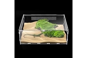 UCandy Micro Habitat Terrarium Enclosure, Jumping Spider Enclosure with Locking Latch for Small Tree Dwelling Reptiles,Tarantula, Amphibians, Spiders,Invertebrates (6x11x16 inch)