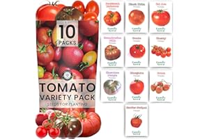 Tomato Seeds | 10 Invidiual Packs | 2025 Season | Non-GMO | Roma, Brandywine, Cherry & More! | for Planting Indoor & Outdoor | by Family Sown