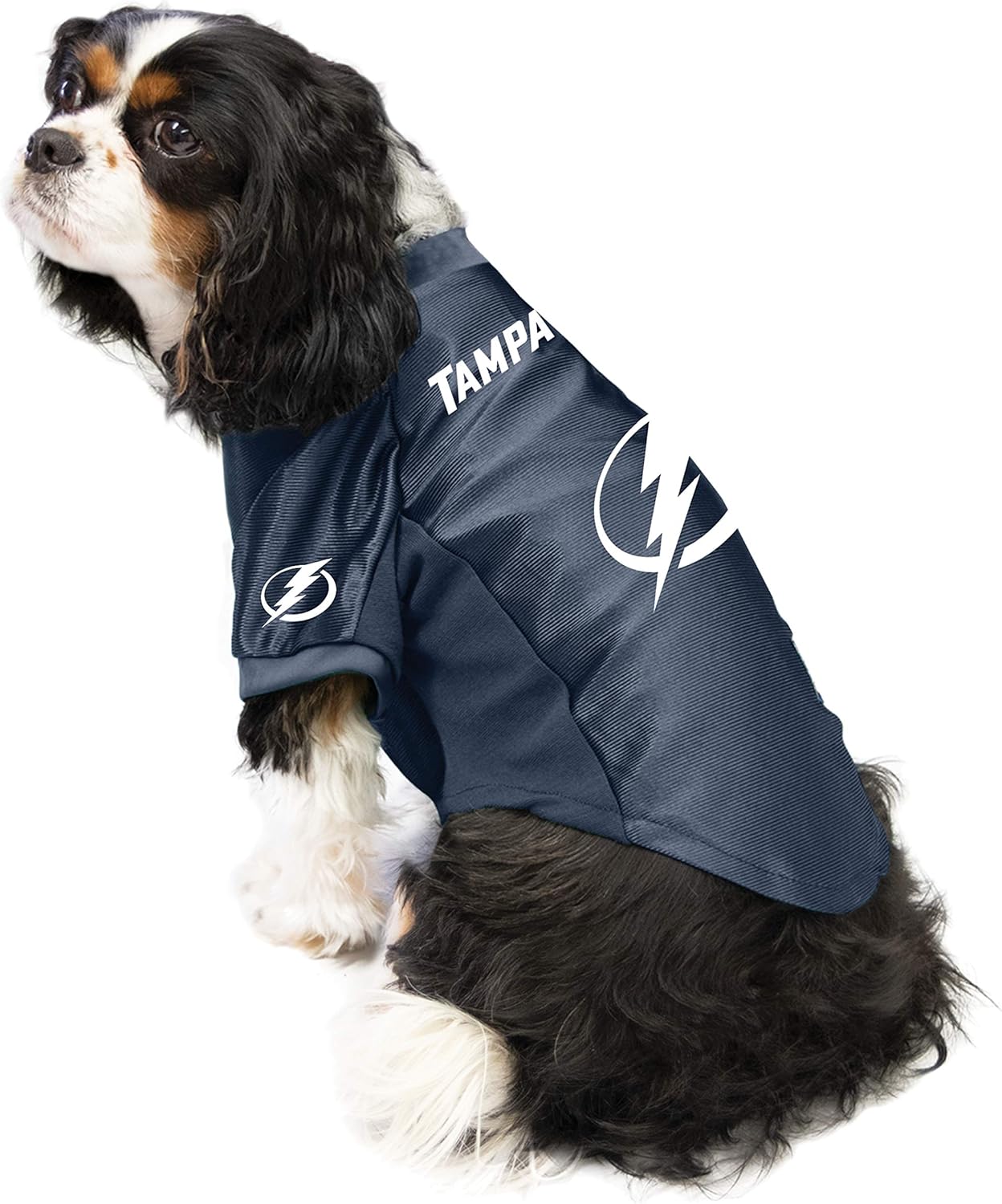 tampa bay lightning dog jersey
