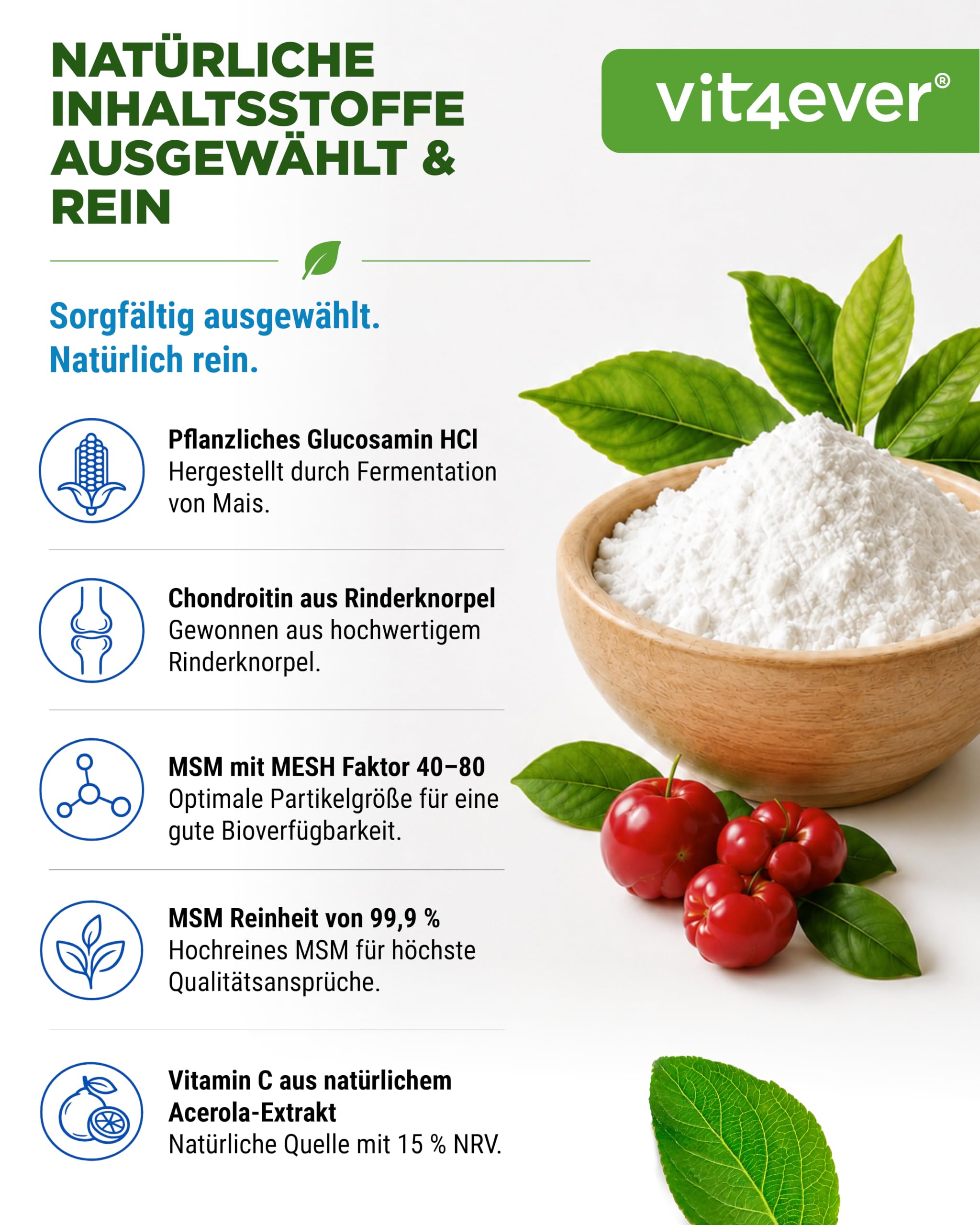 vit4ever Glucosamin Chondroitin MSM - 300 Tabletten - 4-in-1 Formel 4