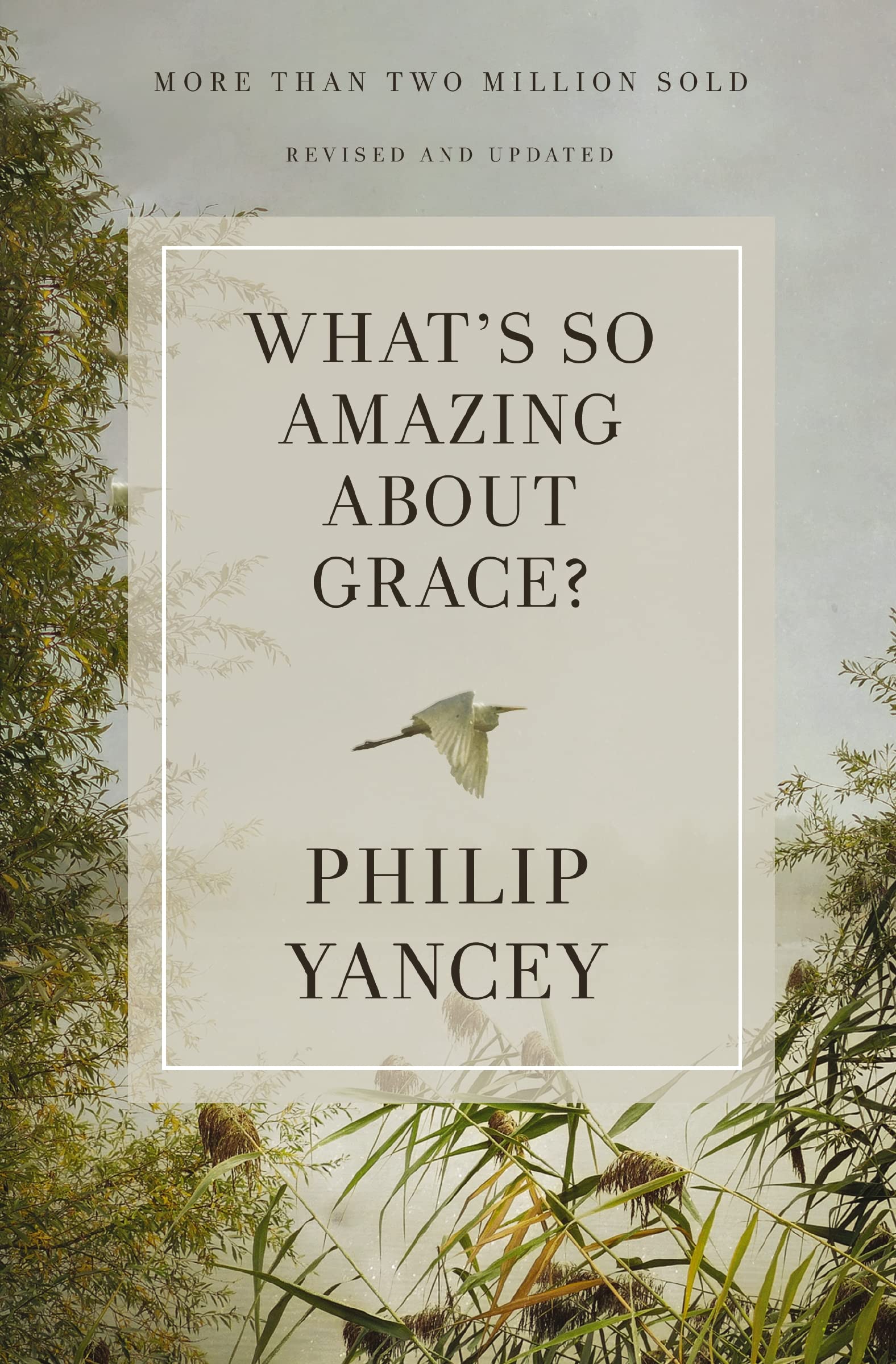 What's So Amazing About Grace? Revised and Updated: The Key to Transforming a Broken World