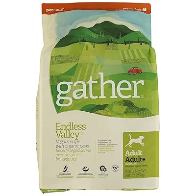 gather endless valley