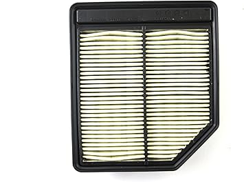 Amazon Com Genuine Honda Parts 17220 Rna A00 Air Filter For Honda Civic 2d 4d And Ngv 4d Automotive