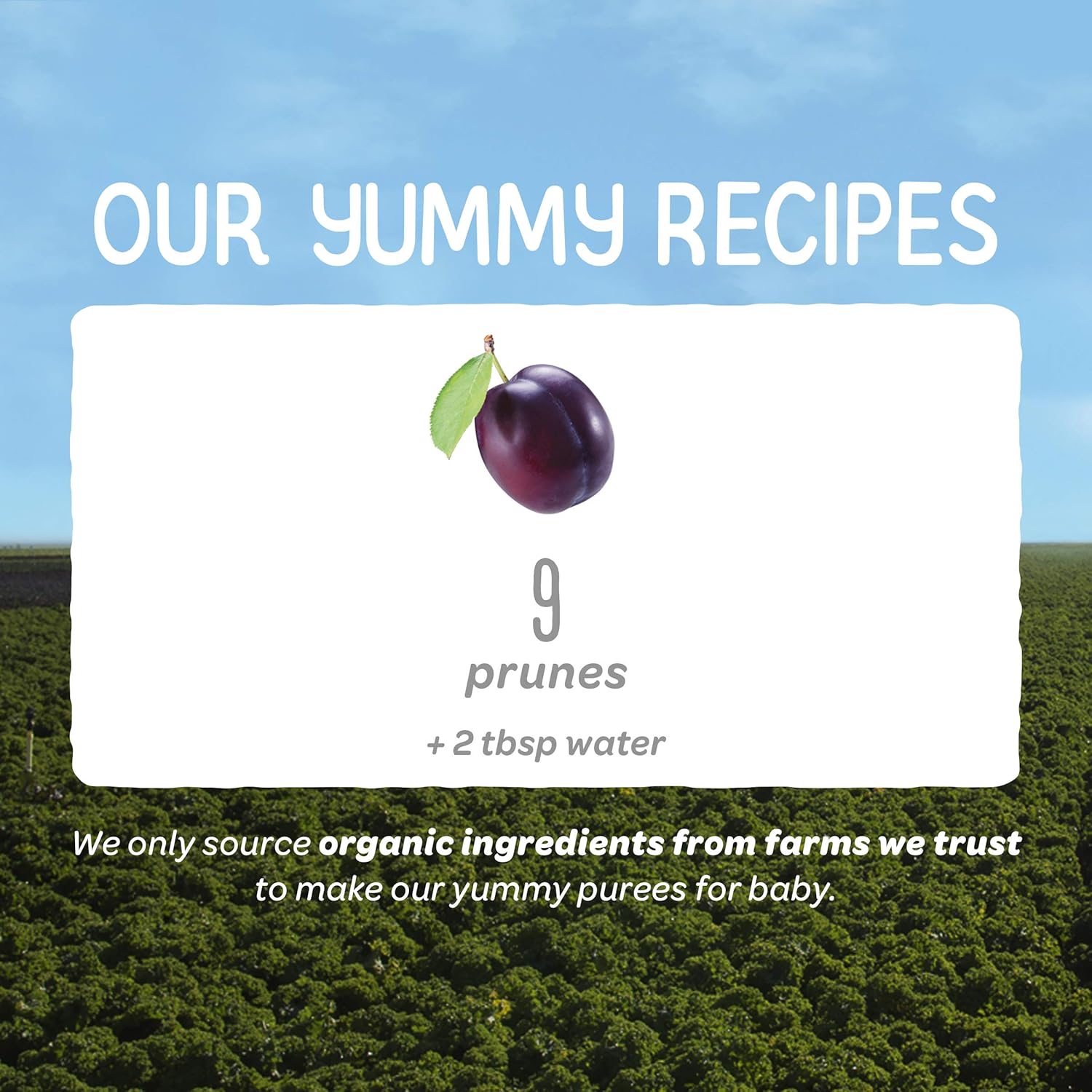 happy baby organic clearly crafted stage 1 baby food 1 prunes
