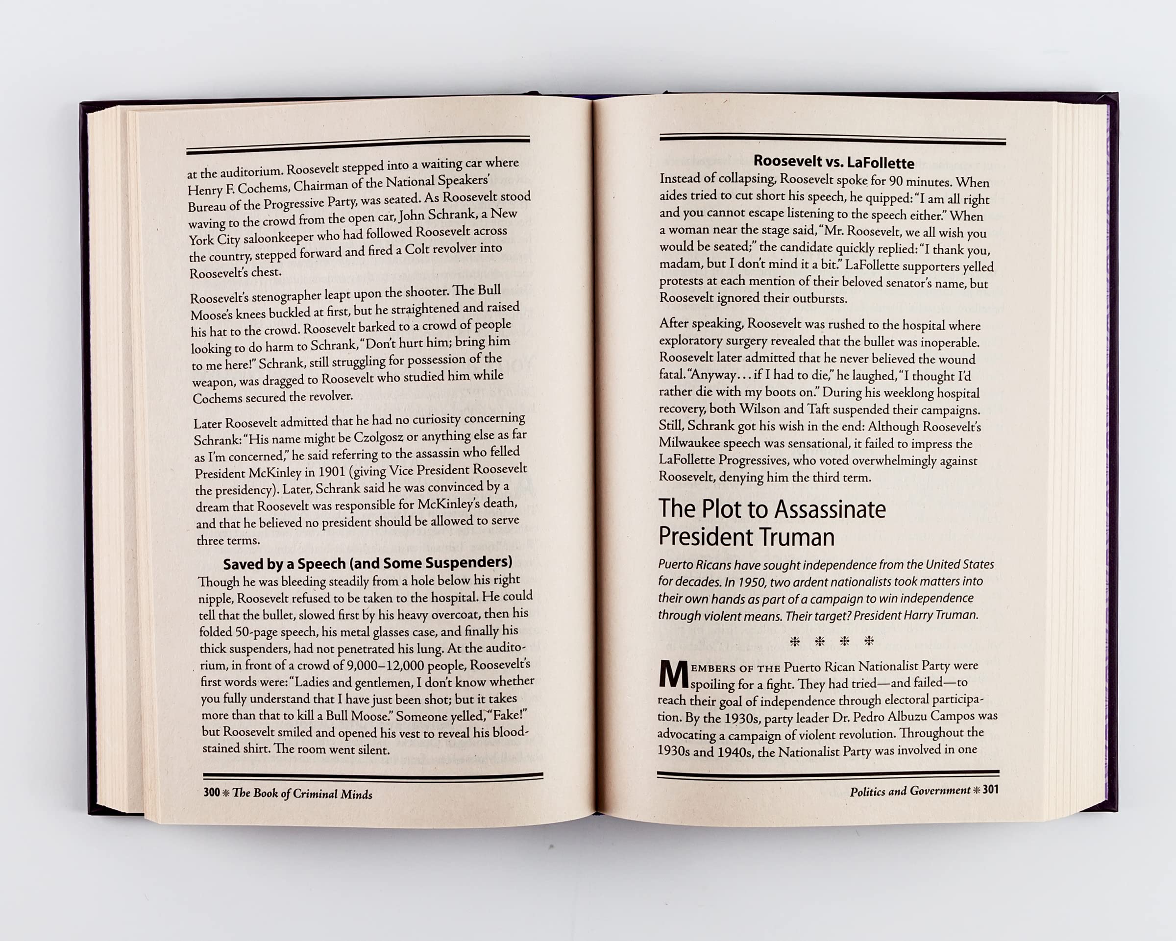 The Book of Criminal Minds: Forgeries, Robberies, Heists, Crimes of Passion, Murders, Money Laundering, Con Artistry, and More