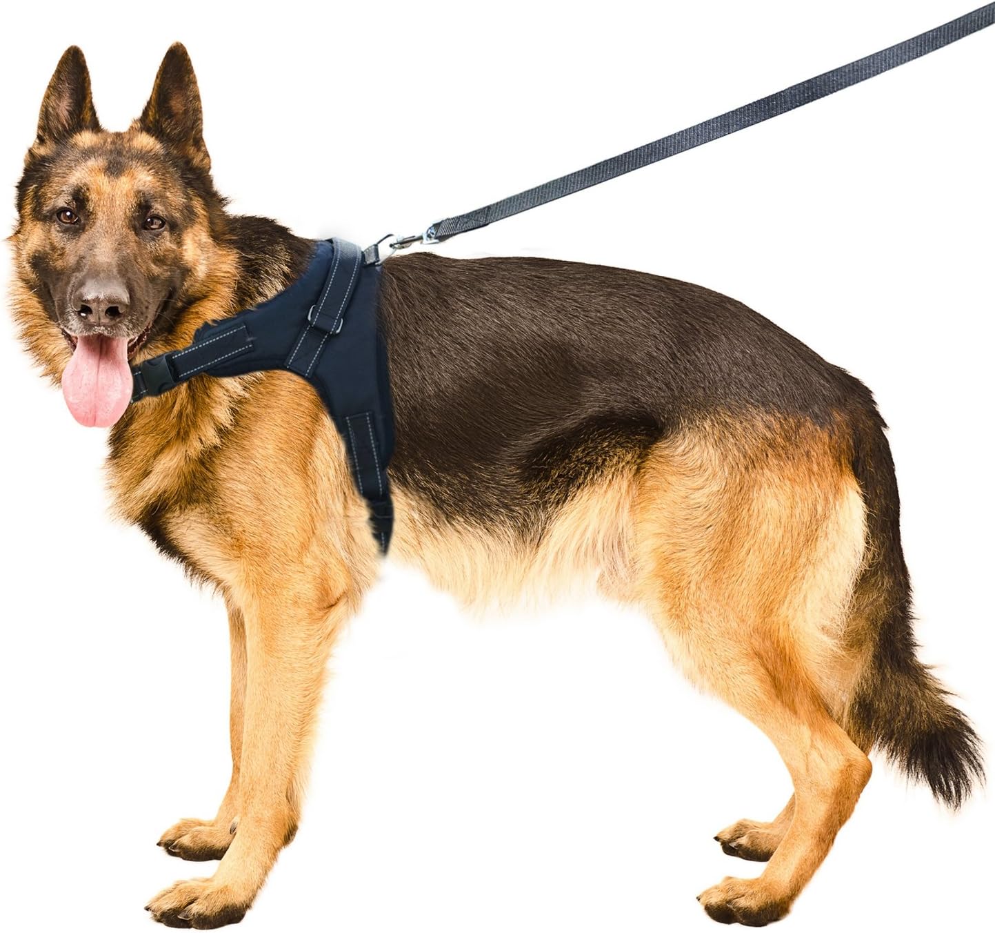 Hhusali Dog Harness, Dog Body Padded Vest - Leash Included, Reflective, Adjustable Harness With Handle. No-Choke, No-Slip. Excellent for Training, Walking, Hiking. No-Pull Effect.