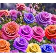 20 Mixed Rare Three-Color Rose Seeds - Vibrant Blue, Red & White Blooms For Your Garden