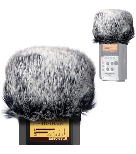 Amazon.com: Zoom SPH-2n Accessory Pack for H2n Handy Recorder