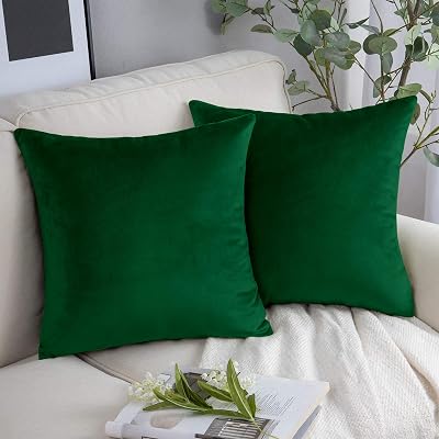Yorkshire Bedding Velvet Cushion Covers 18x18 2 Pack Green