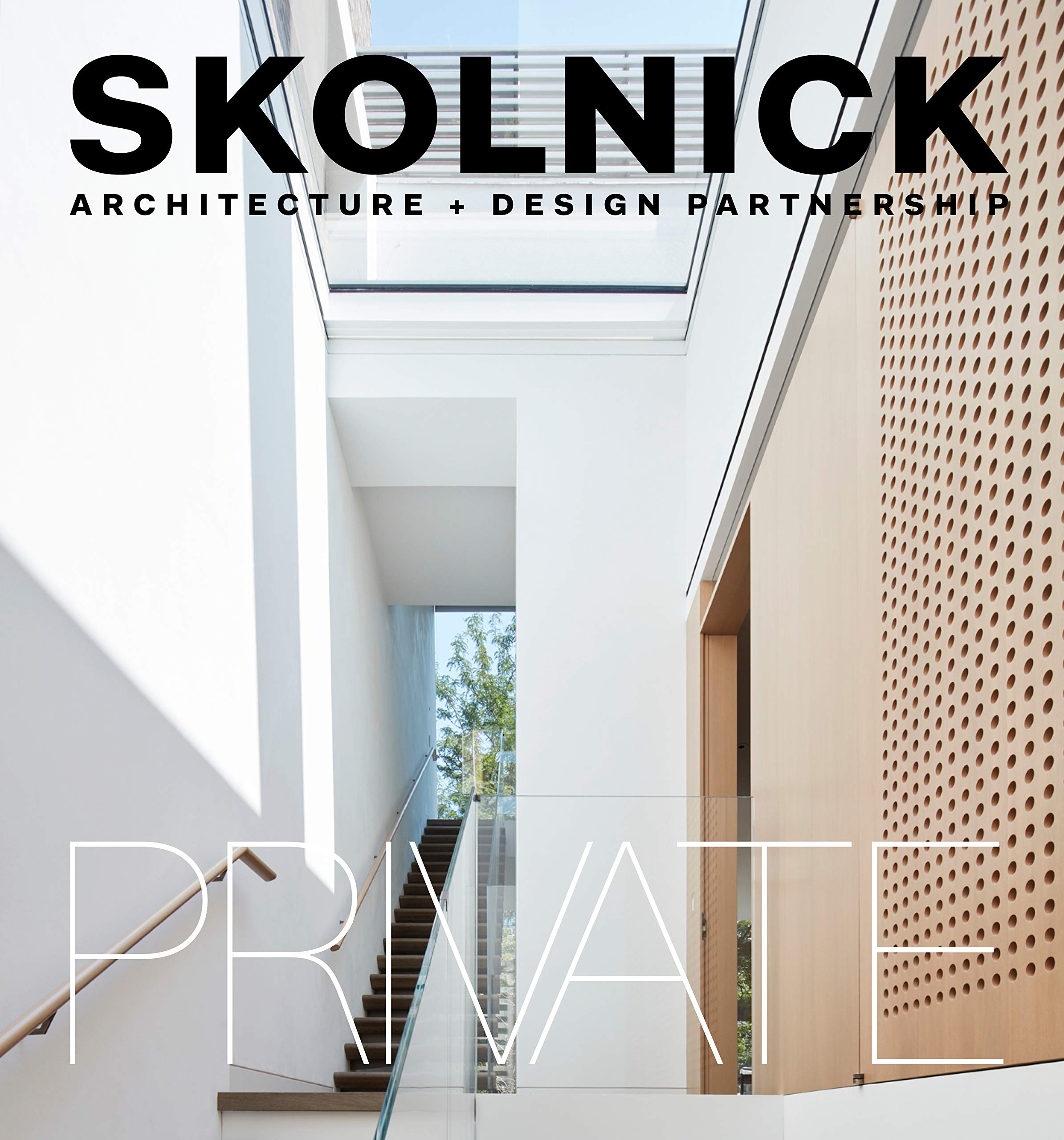 Skolnick Architecture Design Partnership Public Private Skolnick Architecture Design Partnership 9781938461835 Amazon Com Books
