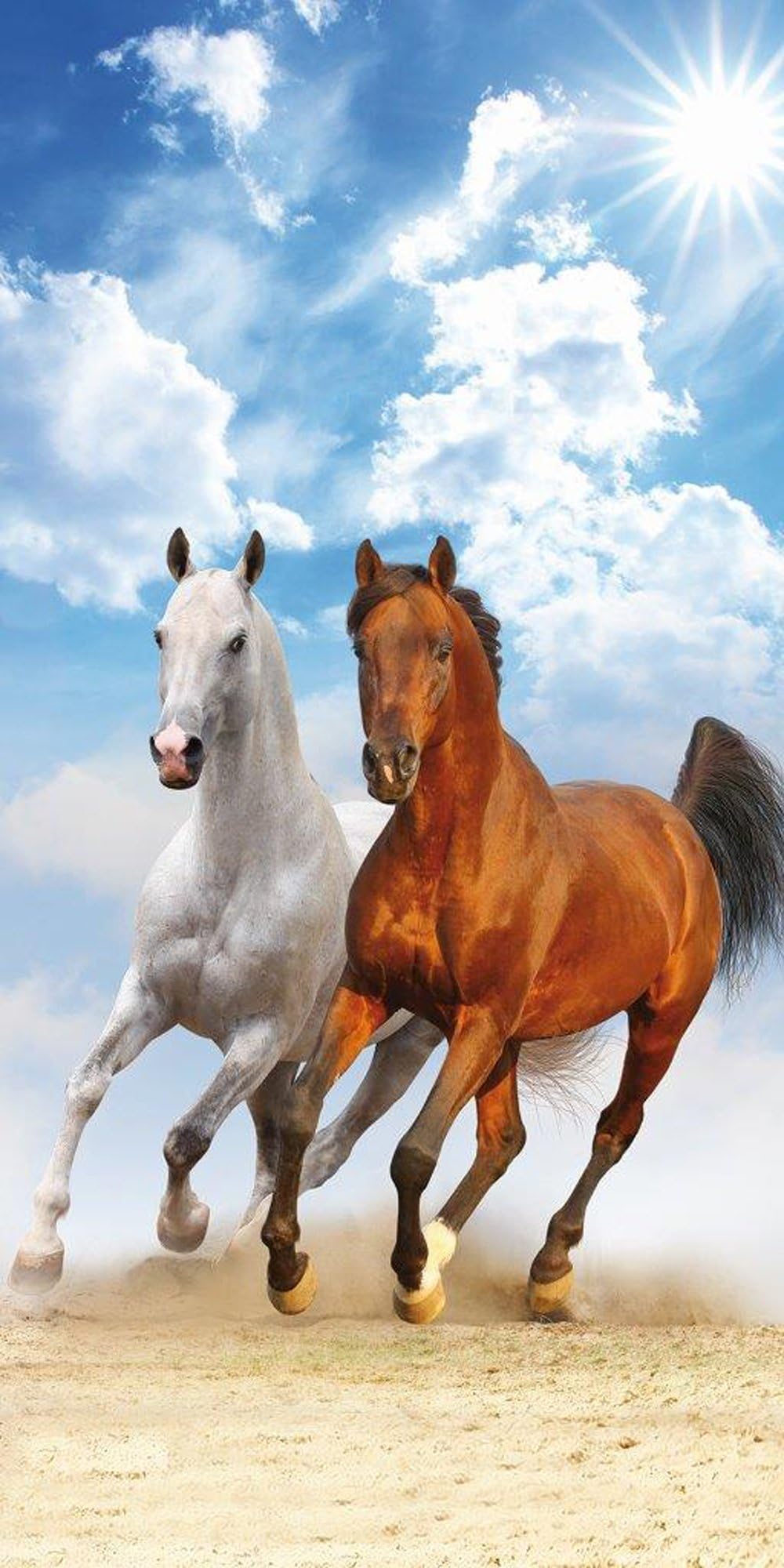 Horse Riding Horses Sky Beach Towel Bath Towel 70 x 140 cm