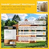 Everbuild Wood Preserver 5 Litre Clear Interior Exterior Low Odour Quick Drying view 3