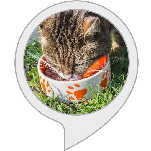 alexa enabled cat feeder
