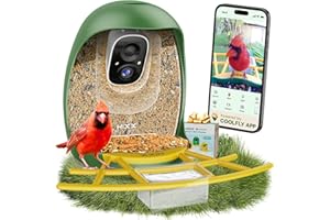 HIXX Smart Bird Feeder with Camera, AI Identify Birds & Auto Capture, 2K HD Live Camera Birdwatching with Color Night Vision for Bird Lovers Gifts (Green)