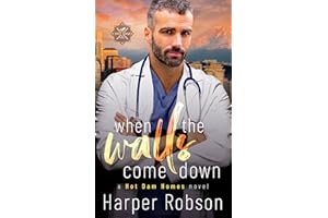 When The Walls Come Down: Hot Dam Homes Book Two