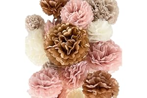 VIDAL CRAFTS FOR A PERFECT PARTY Vidal Crafts 20-Piece Boho Tissue Paper Pom Poms - Hanging Tissue Paper Flowers for Bridal Shower Decorations, Baby Shower Decorations for Girl, Wedding, Birthday Party - Assorted Sizes 6" to 14"