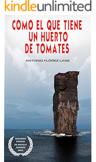 SEIS HÉROES REALES: Amazon.es: Flórez Lage, Antonio: Libros