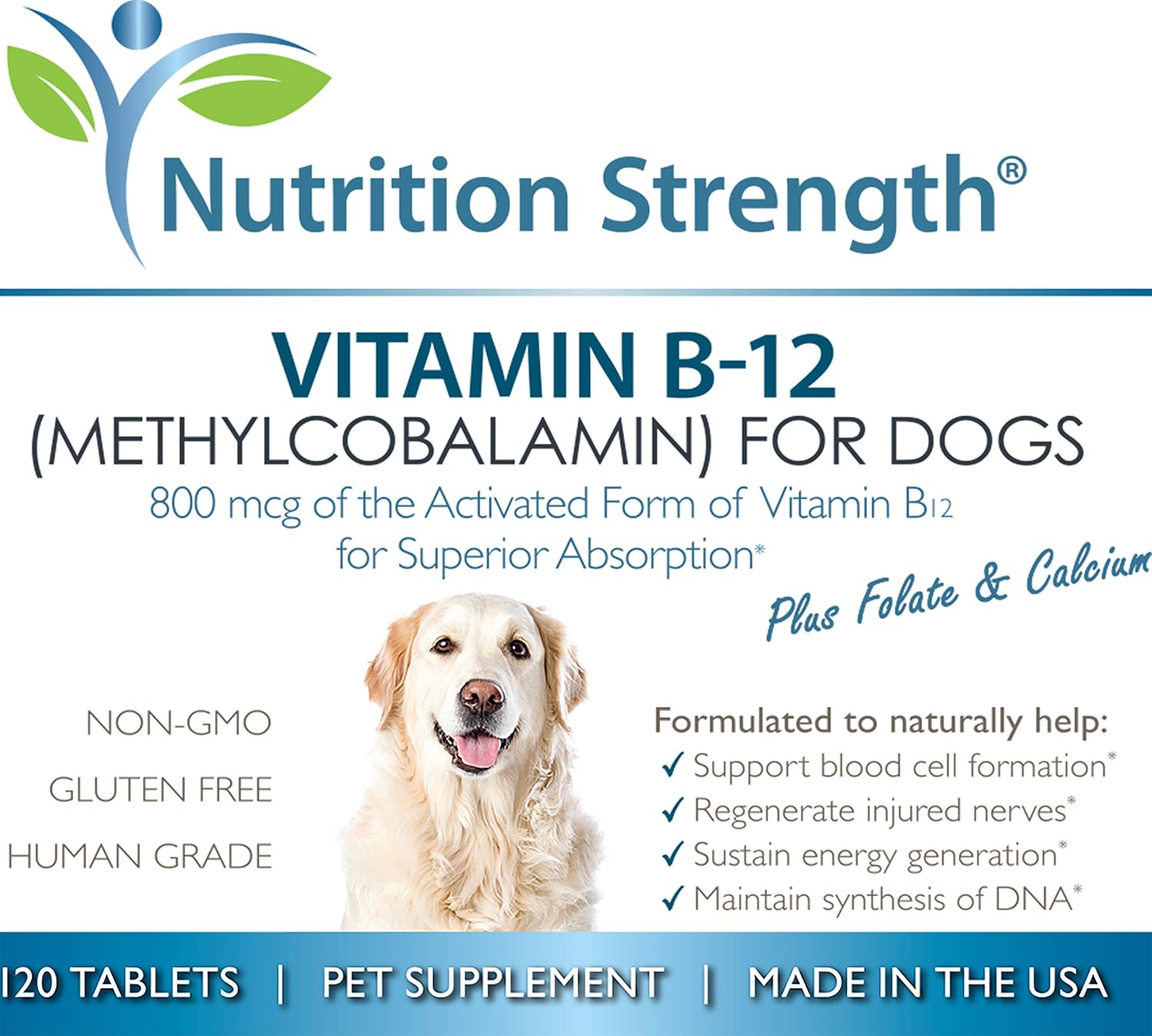 dog b12 supplement
