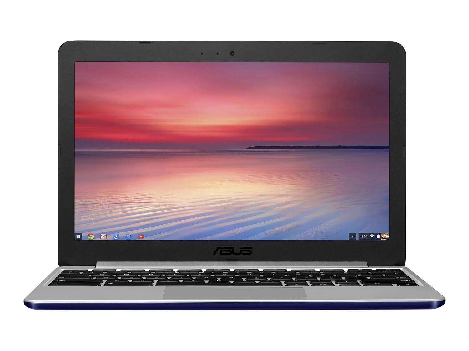 Amazon.com: ASUS C201PA-DS02 11.6-Inch Laptop (Navy Blue): Computers &  Accessories