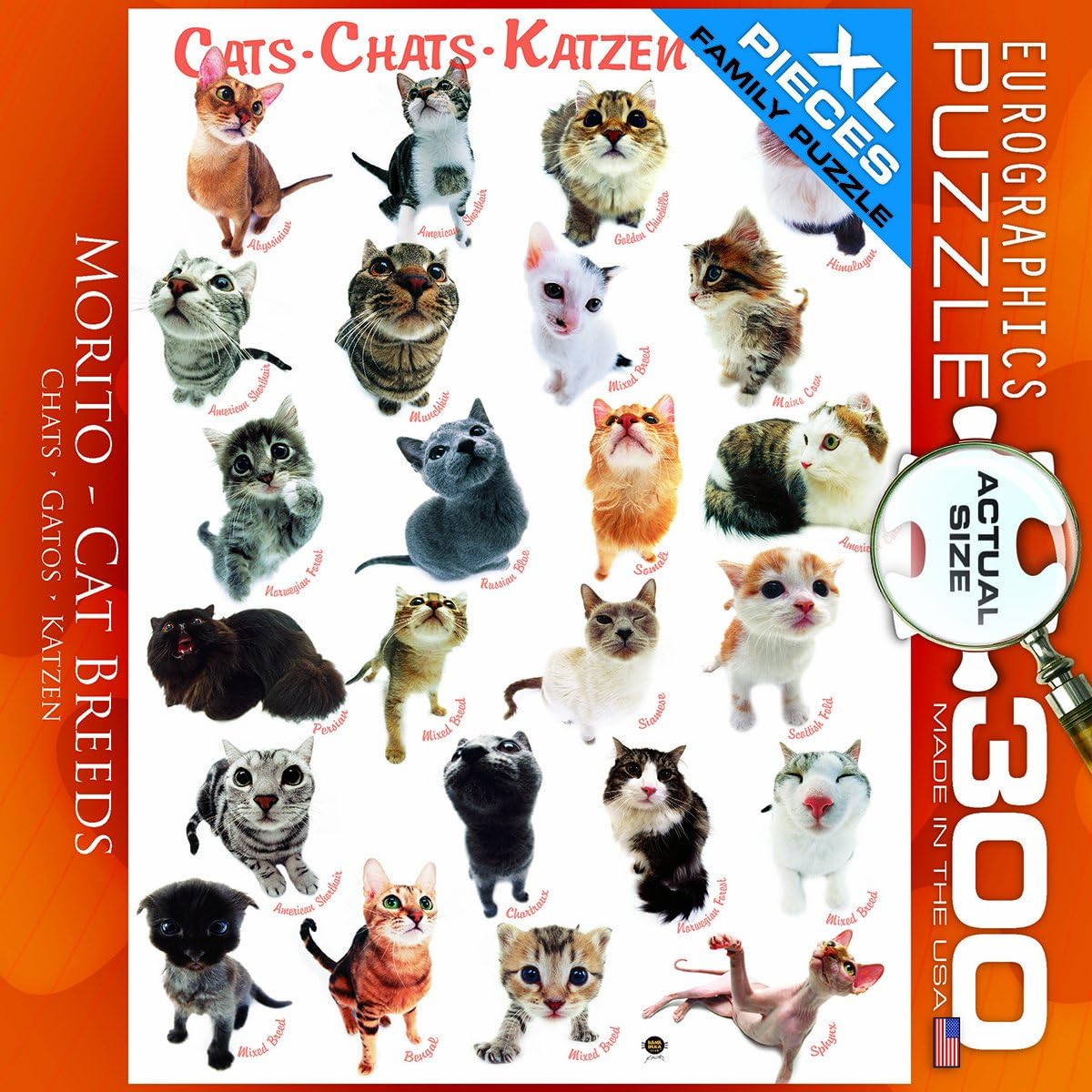 300 piece cat puzzle