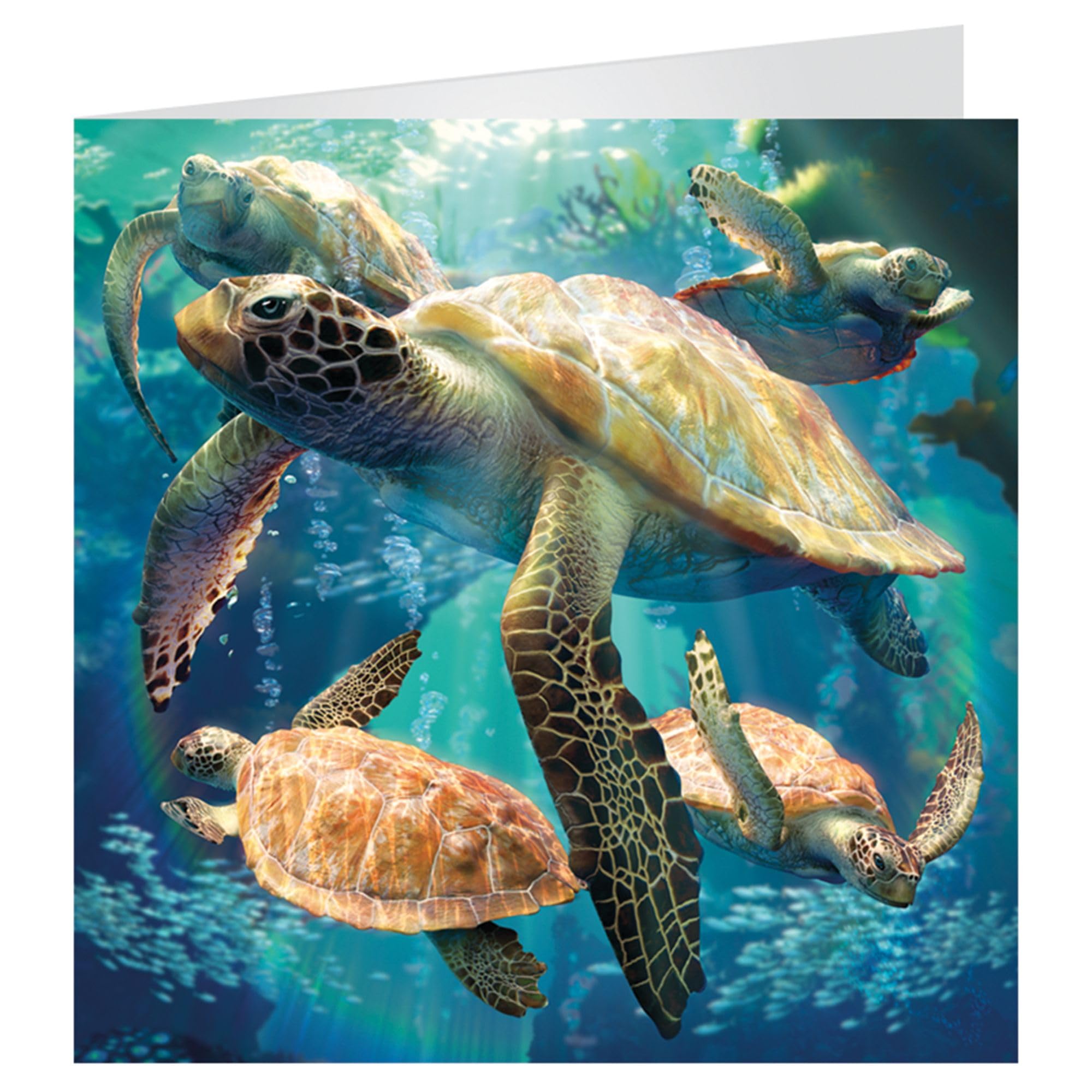 3D LiveLife Greeting Card - Sea Turtle Swim from Deluxebase. Blank Card with Lenticular 3D Image and Envelope. Unique Notecard for All Occasions and Premium Stationery Sets..