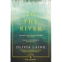 To the River: A Journey Beneath the Surface (Canons Book 71) book cover