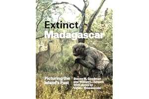 Extinct Madagascar: Picturing the Island's Past