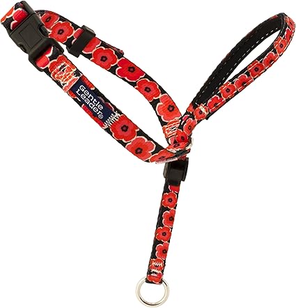 Petsafe gentle leader large Clearance