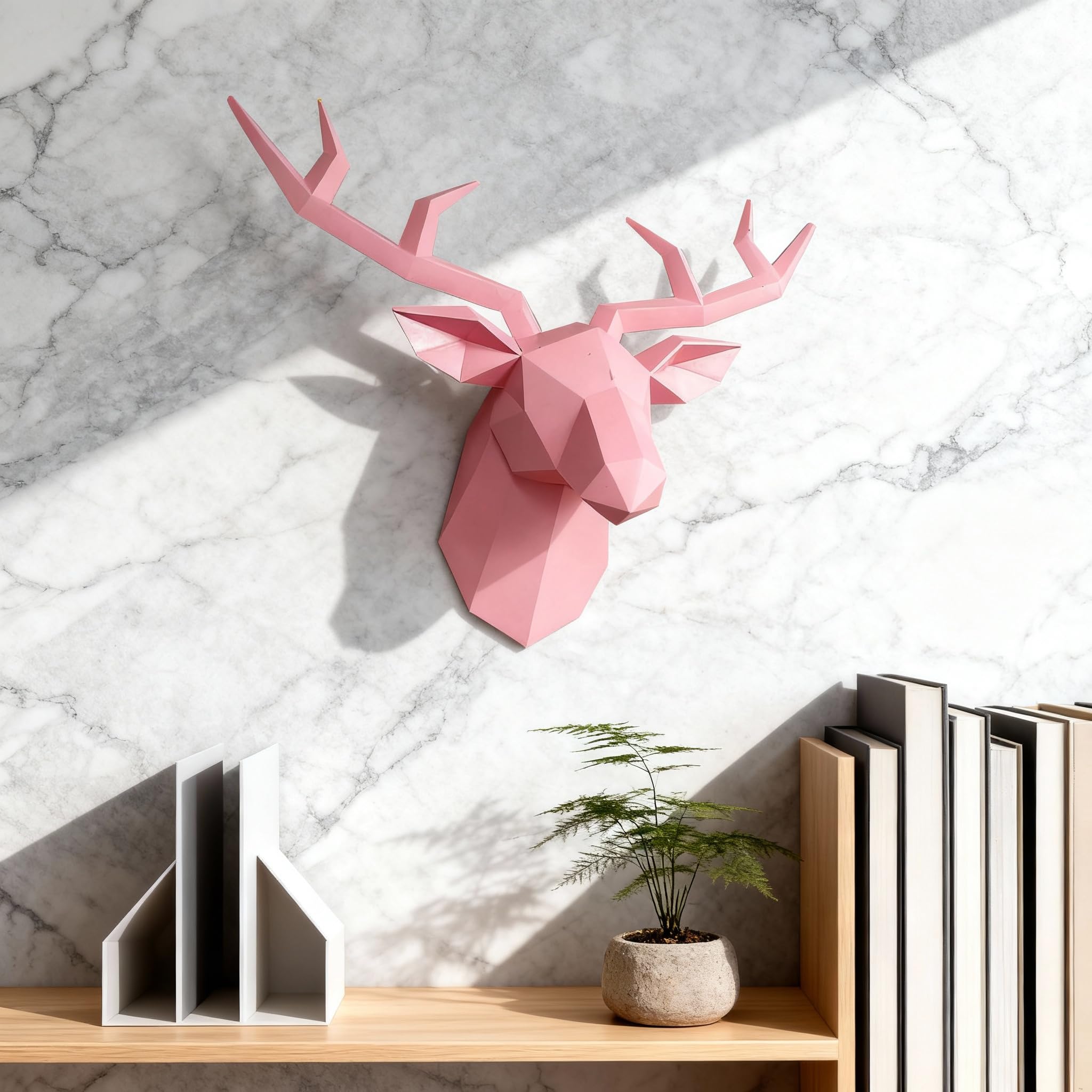 View 8
