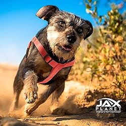 Jax Planet Dog Harness and Leash - Comfortable