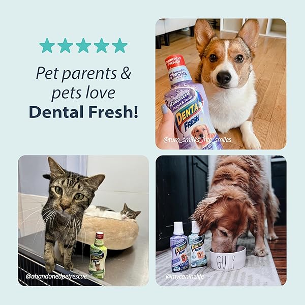 DENTAL FRESH WATER ADDITIVE FOR DOGS, ORIGINAL FORMULA, 17OZ – DOG BREATH FRESHENER AND TEETH CLEANING FOR DENTAL CARE– ADD TO WATER