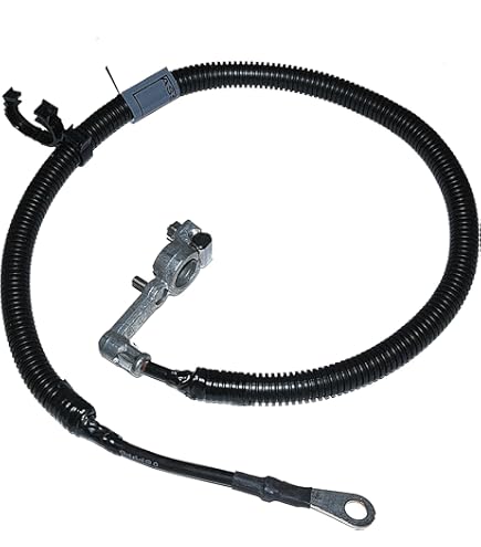 Amazon.com: ACDelco Genuine Parts 22783692 Auxiliary Battery