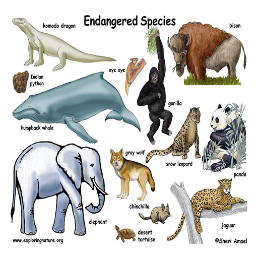 Endangered for Android