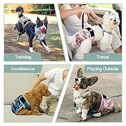 Female Dog Diapers - Premium Reusable Diapers for