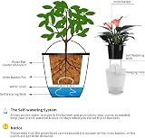 ORIMERC 6 Pack Self Watering Wall Planters White Indoor Outdoor view 5