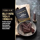Fumino Coco Cinnamon Incense Cones 15 Pack for Relaxation & Meditation view 7