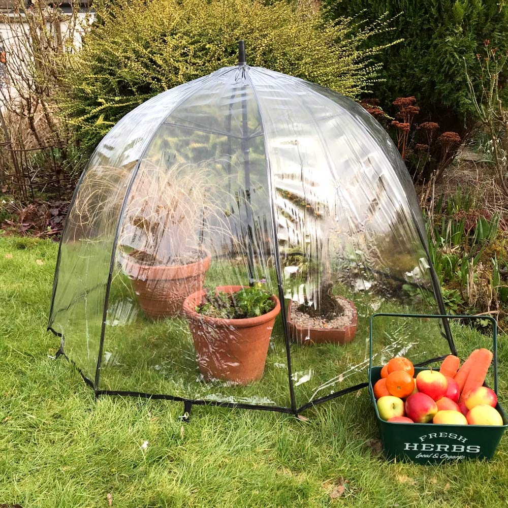 GardenSkill Greenhouse Umbrella Dome 1.2x0.75m H | Instant XL Bell Cloche Grow House | Garden Plant Protection Tomato Cage Cover for Strawberry Pots Seedling Raised Bed Flower (1)