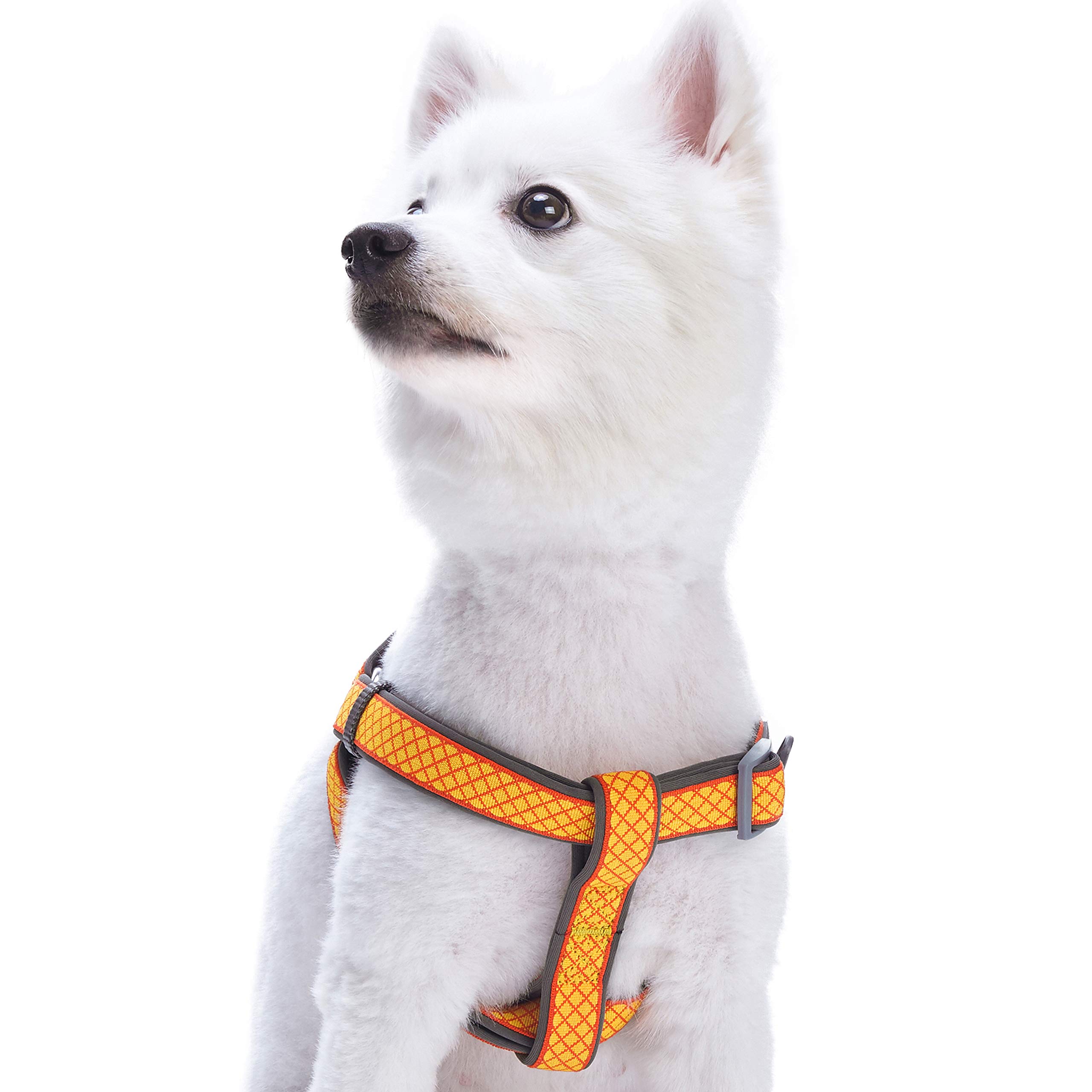 Blueberry Pet Comfy Step-in Urban Chic Diamond Pattern Padded Dog Harness, Chest Girth 40cm-50cm, Sparking Yellow, Small, Adjustable Harnesses for Dogs